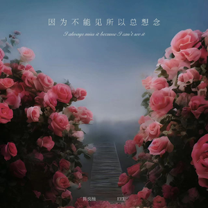 999AV在线视频网
