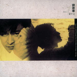 999AV在线视频网
